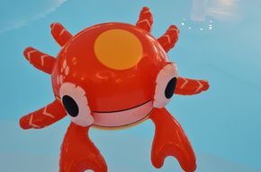 e161cee8-951b-4280-bbde-c5ce29de554a